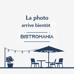 Fauteuil de terrasse ALMA -...